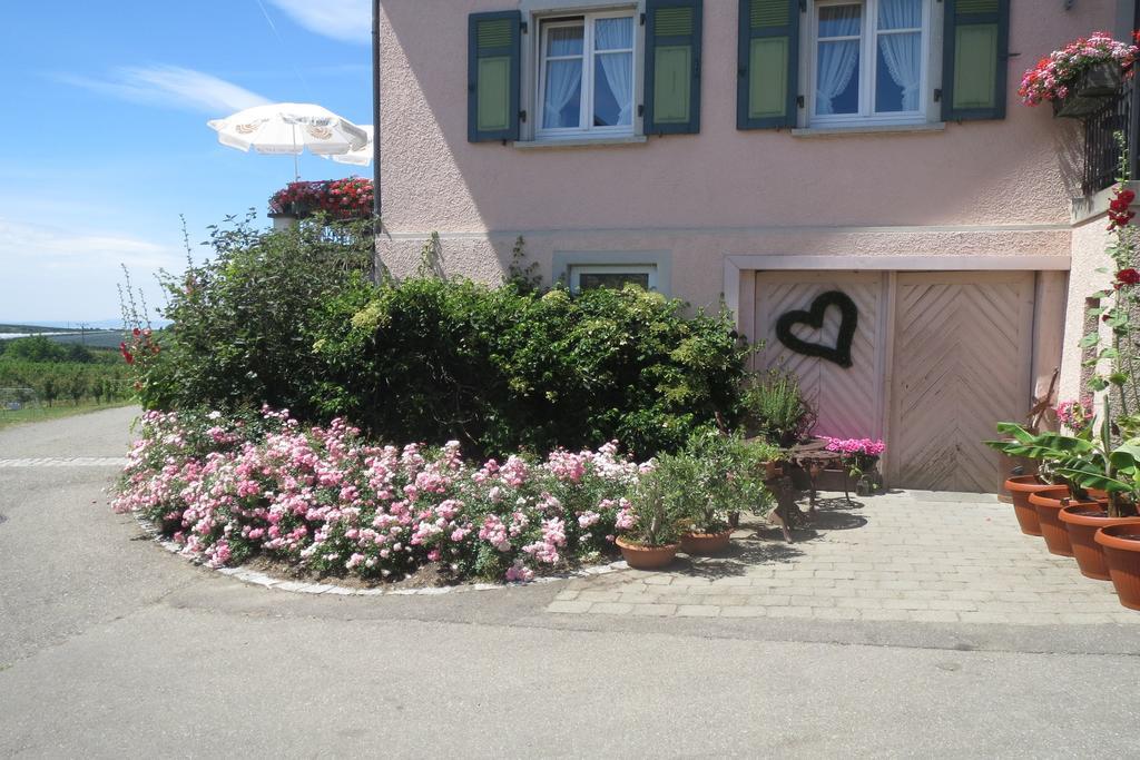 Gaestehaus Frohe Aussicht Kressbronn am Bodensee Zewnętrze zdjęcie